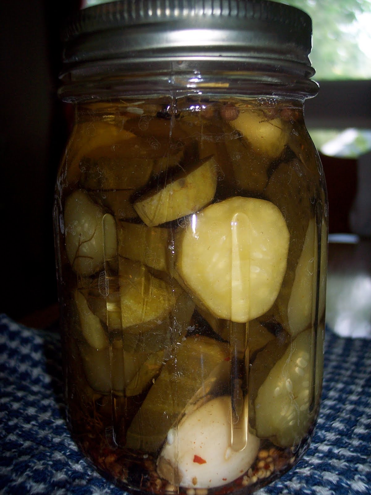 Savory Moments Dill pickle chips