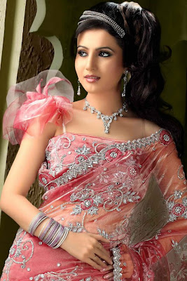 net saree styles
