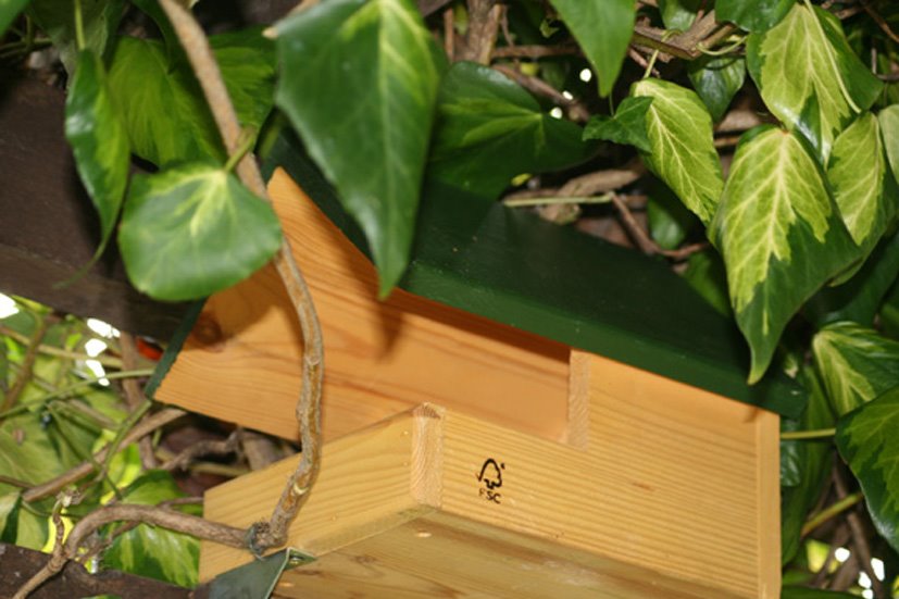 [Blackbird+nesting+box+2.jpg]