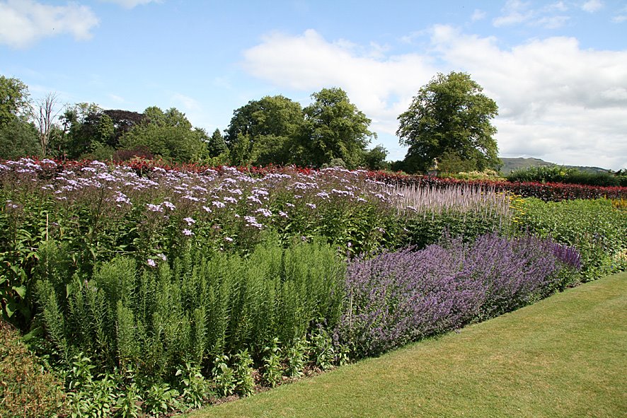 [Kinross+House+Garden+JUL9(10).jpg]