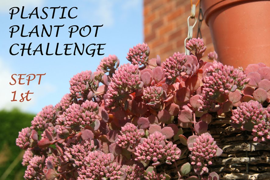 [SGW09,+PLASTIC+PLANT+POT+CHALLENGE+SEPT+1ST.jpg]