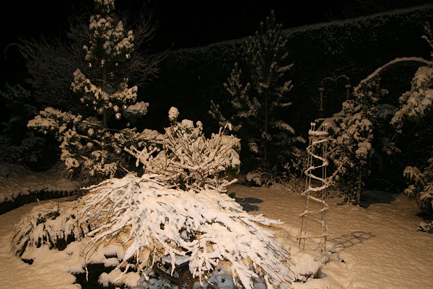 [SGW09+DEC17,+first+snowfall+(4).jpg]
