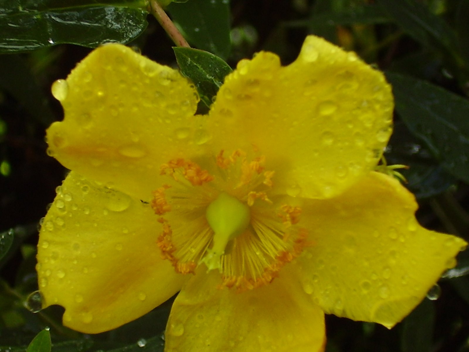 [july+11+2009+021.JPG]