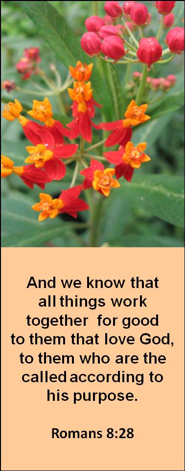 Believers Encouragements: Free Christian Bookmarks templates / Bookmarks with Bible verses - flowers