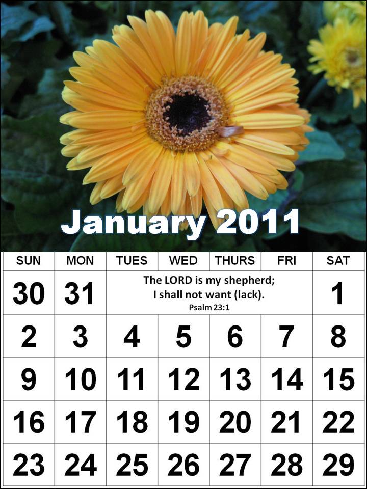 monthly calendar 2011