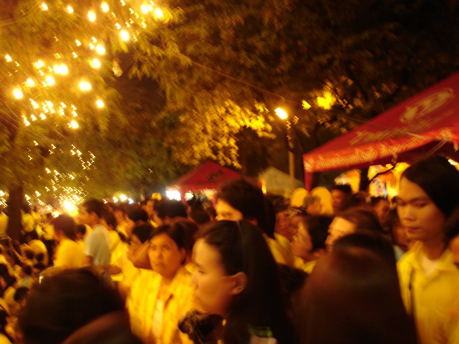[DSC04681.JPG]
