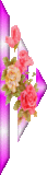 [th_bar311.gif]