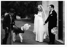 Poodles Believe in Marriage