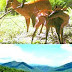 Murlen National Park and the Losing Area of Seven Fellow-Men
