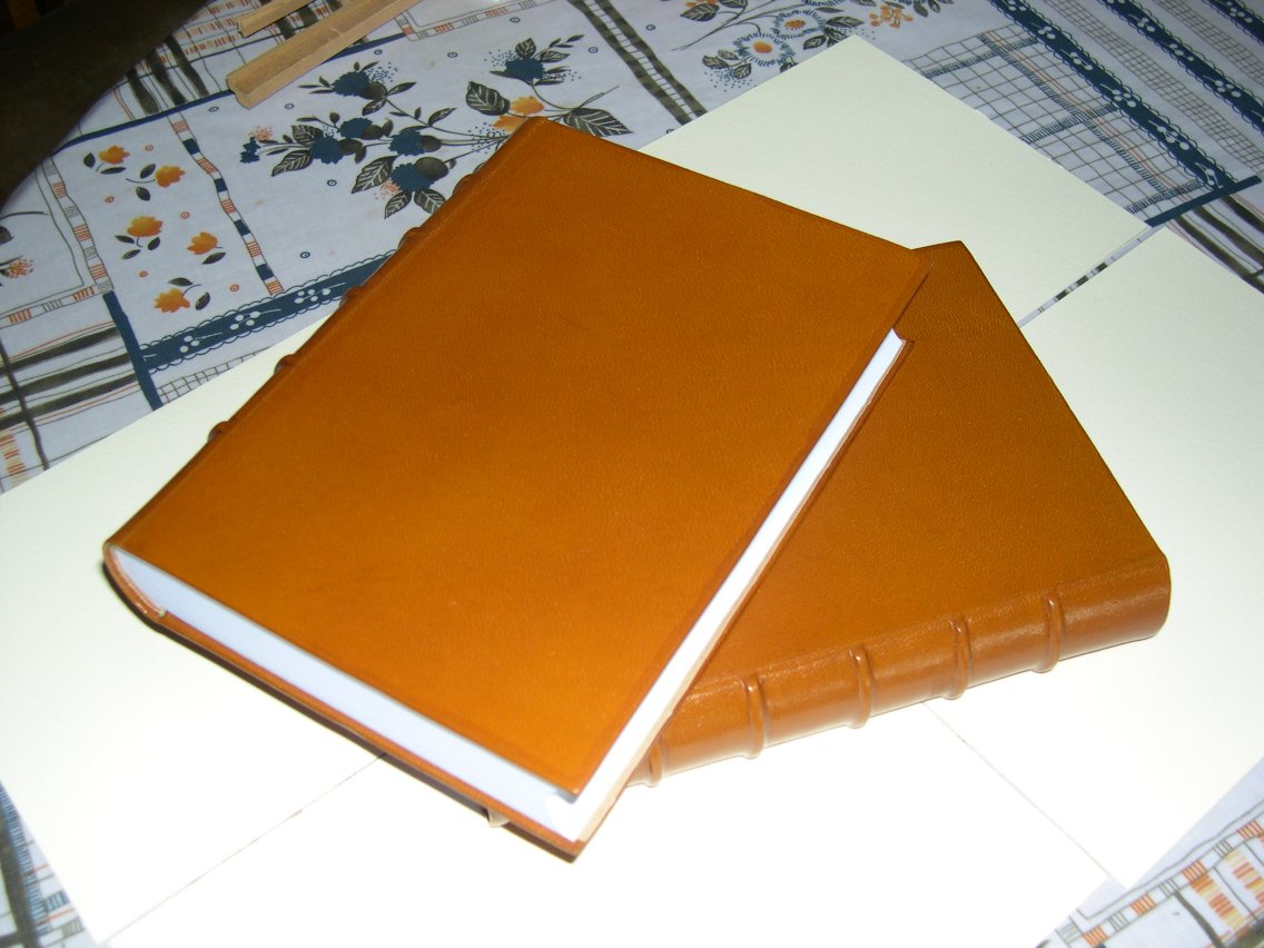 libros libros