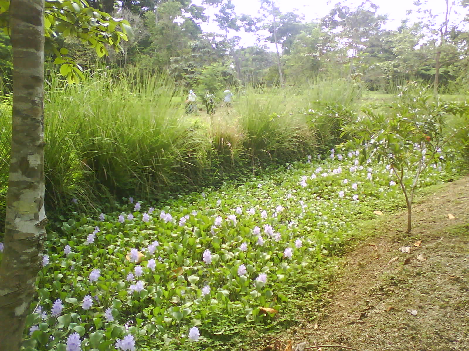 [DSC00291.JPG]