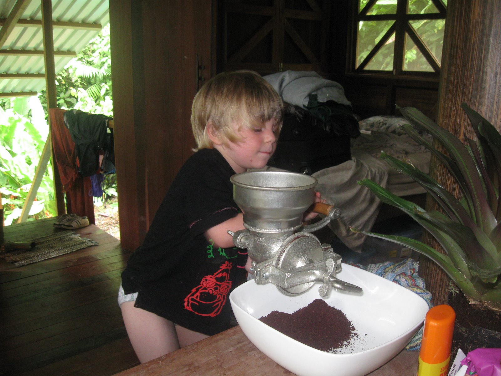 [IMG_1733.jpg]