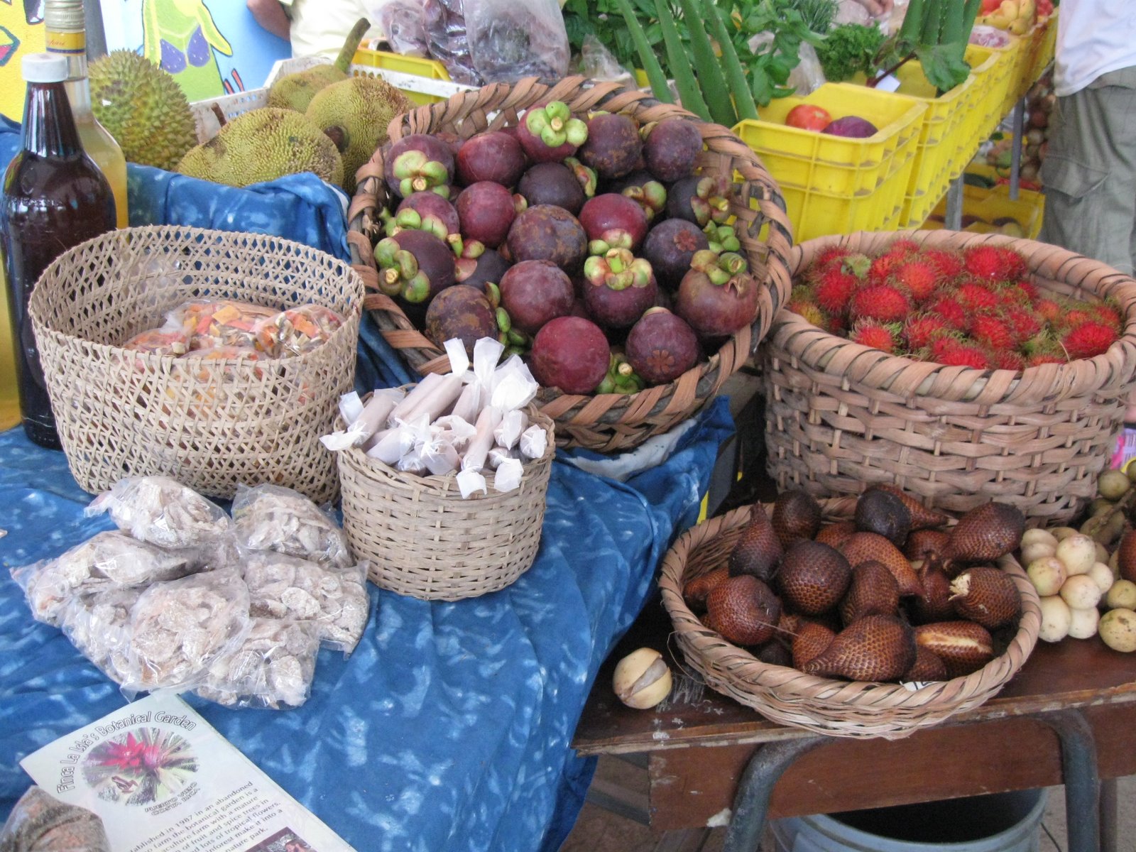 [IMG_1866.jpg]