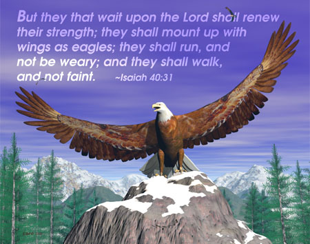 bible eagles eagle isaiah quotes wings christian verse verses storms wait they upon lord but aigle once god shall storm