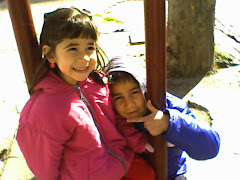 Los Amo...