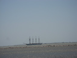 Tall ship Elissa sailed by our new home