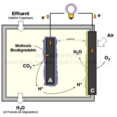 plant microbial fuel cell thesis Microbial fuel cell operation and use with anaerobic digestion for power production from dairy manure a thesis presented to the faculty of the graduate school. plant microbial fuel cell thesis Microbial fuel cell operation and use with anaerobic digestion for power production from dairy manure a thesis presented to the faculty of the graduate school.