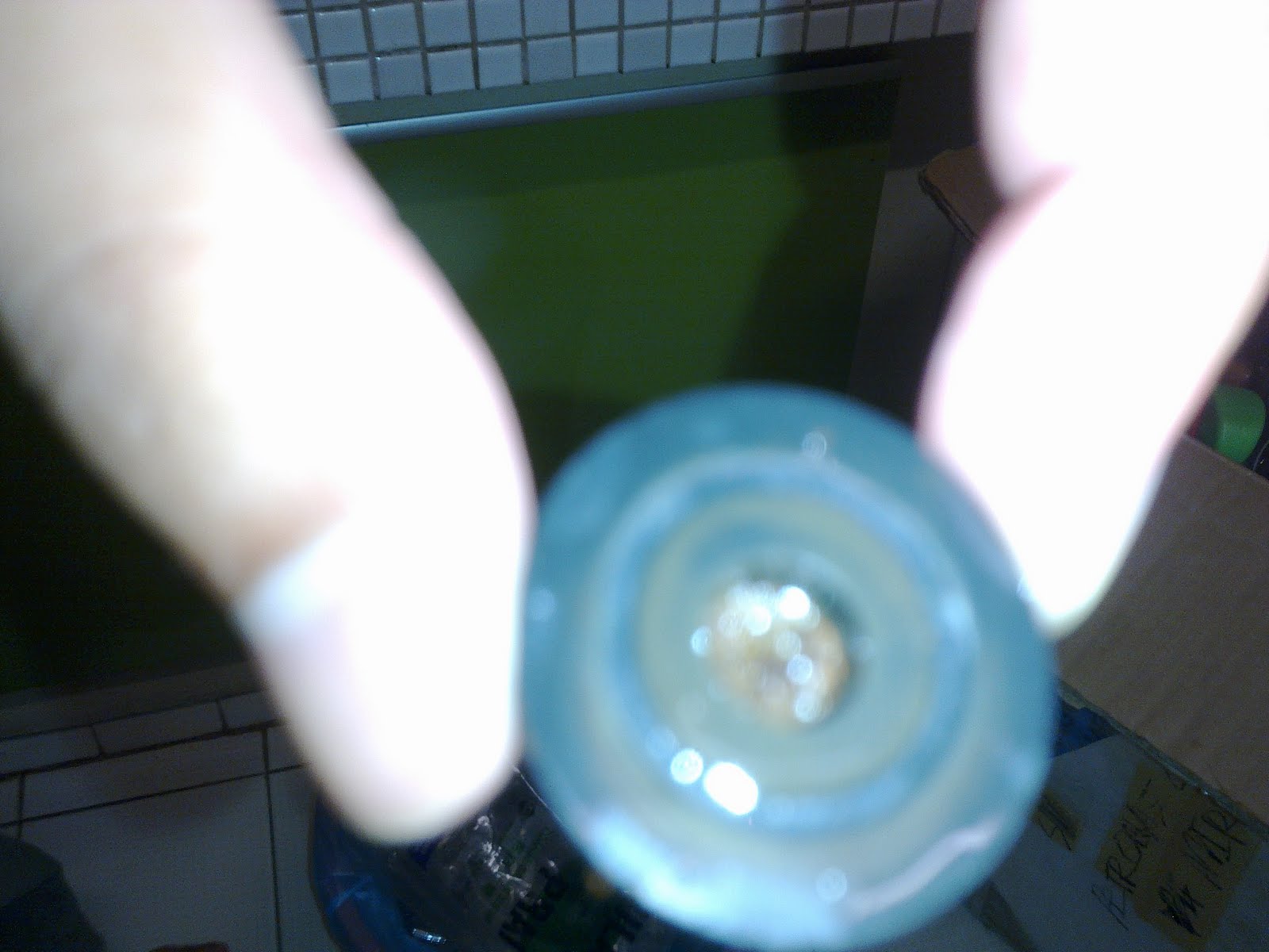[27012010091.jpg]