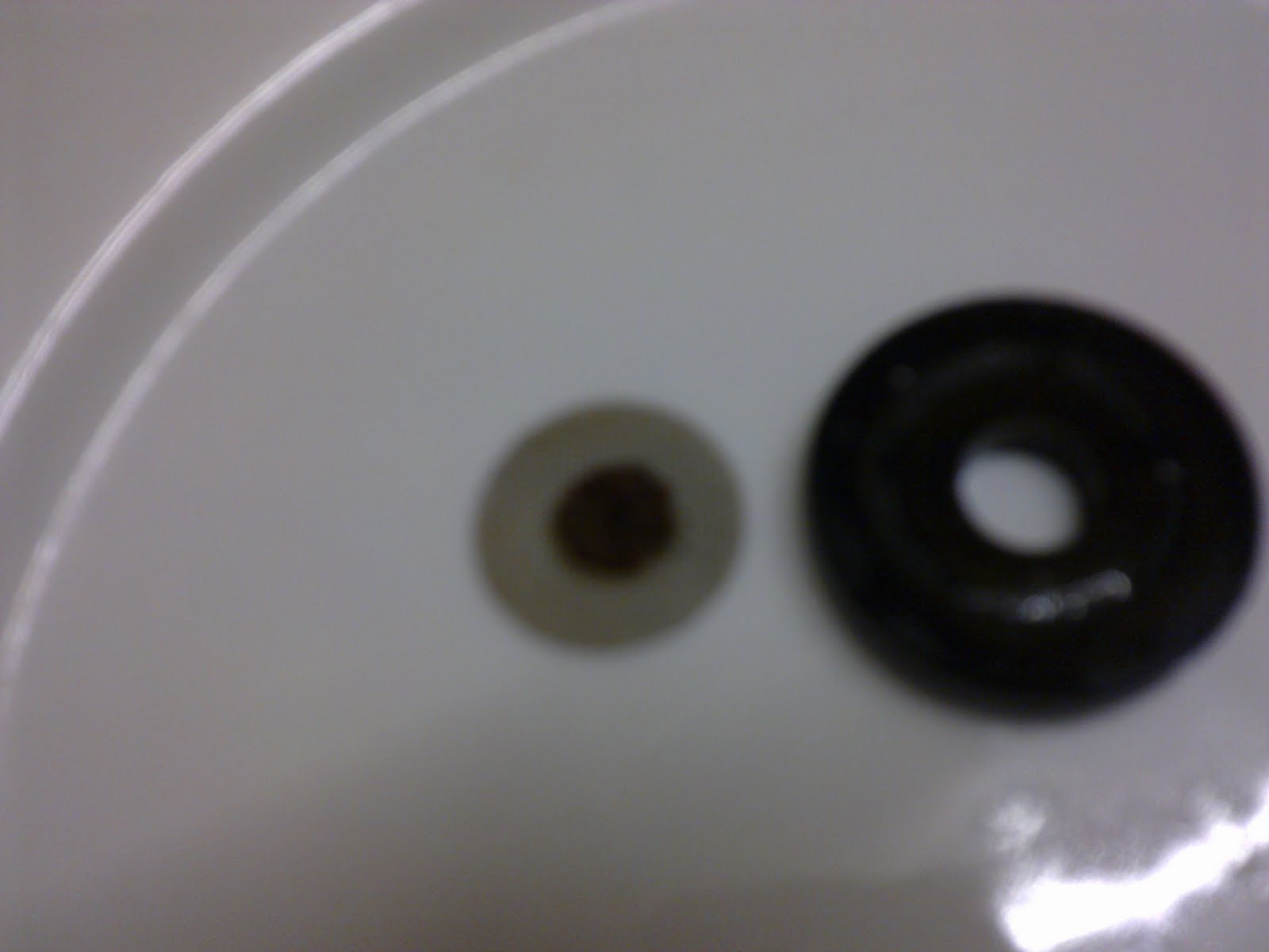 [27012010092.jpg]