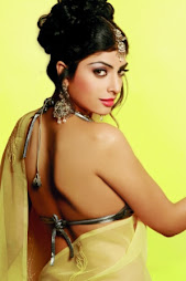 TOP MODEL OF THIS WEBSITE