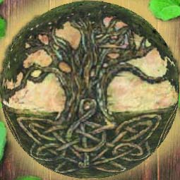 arbol de la vida