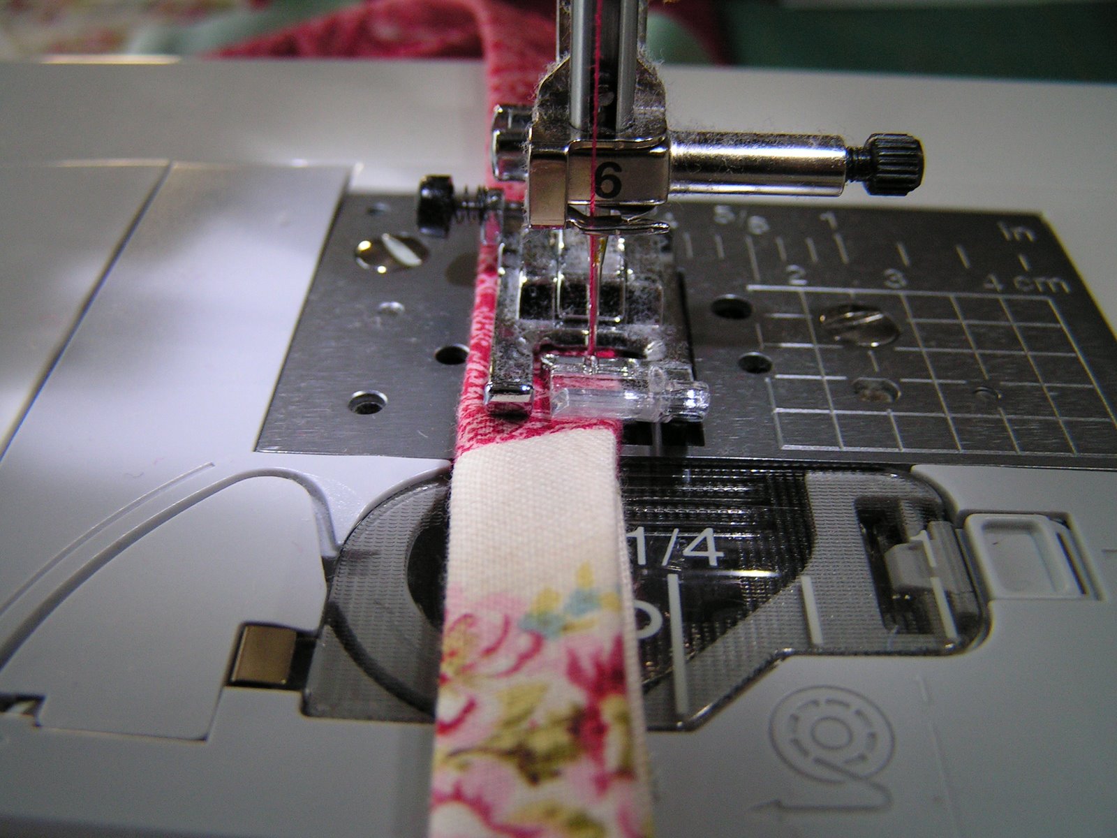 [PICT0010.JPG]