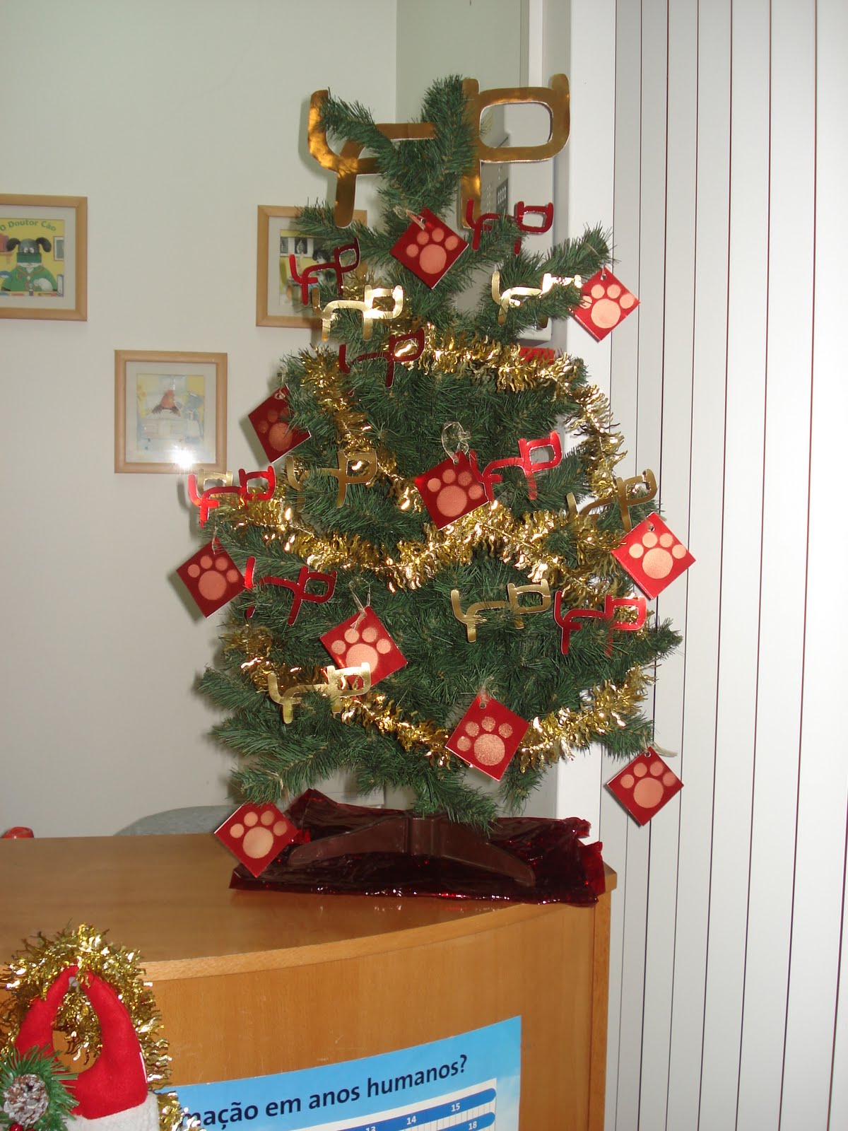 [DSC06218.JPG]