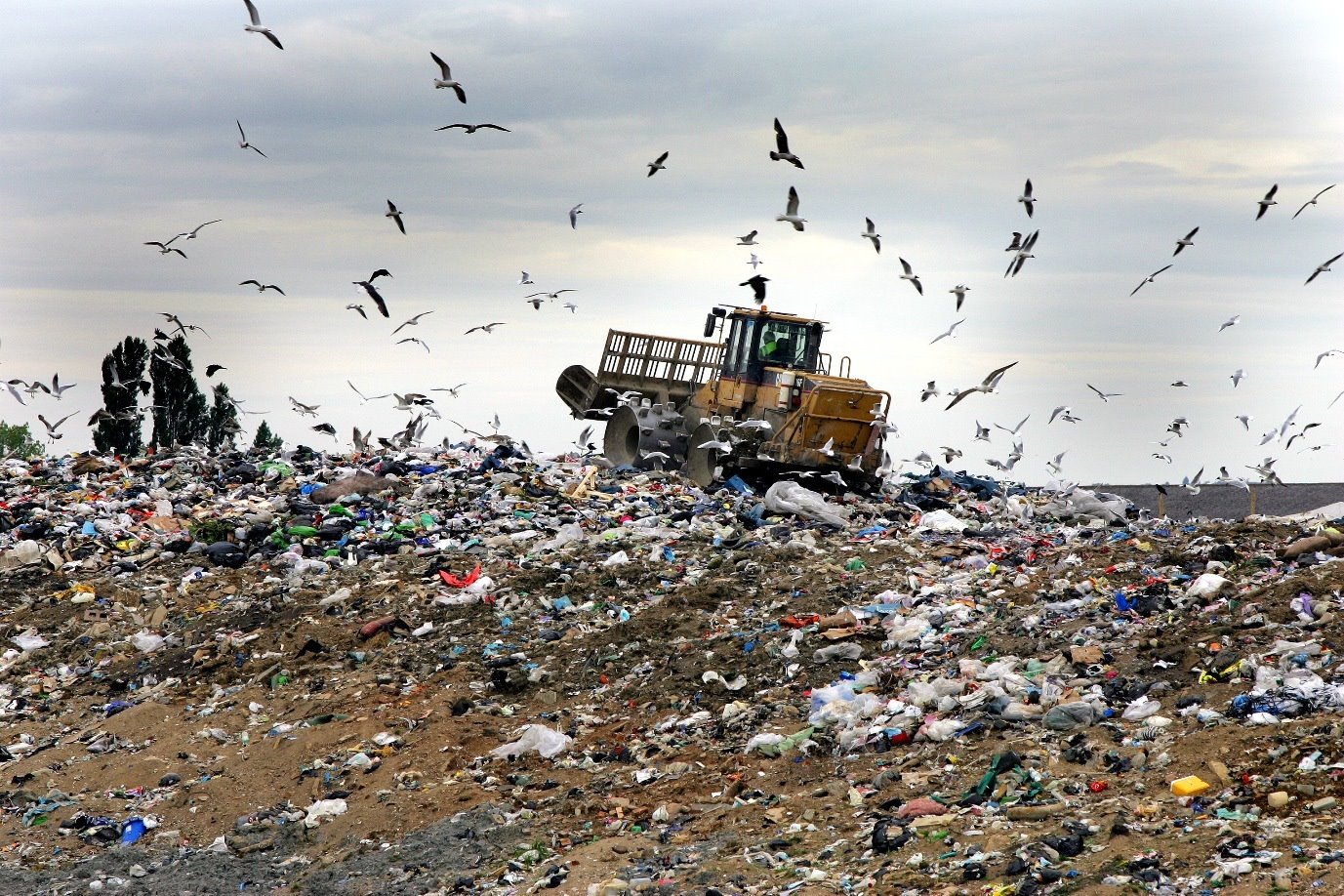 [waste-1-epr1-landfill.jpg]