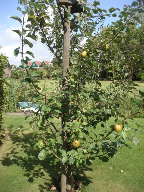 [DSC01360.JPG]