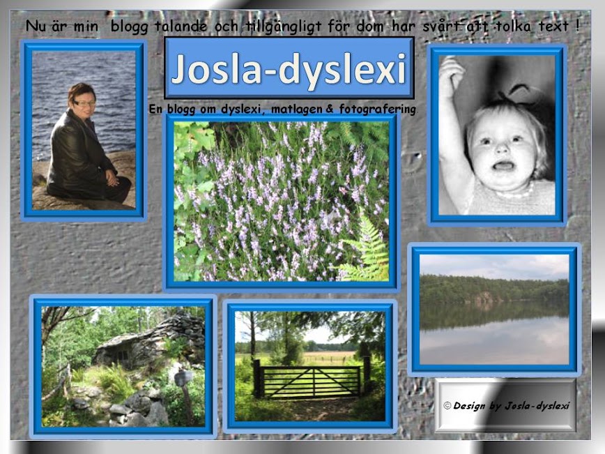 Josla-dyslexi
