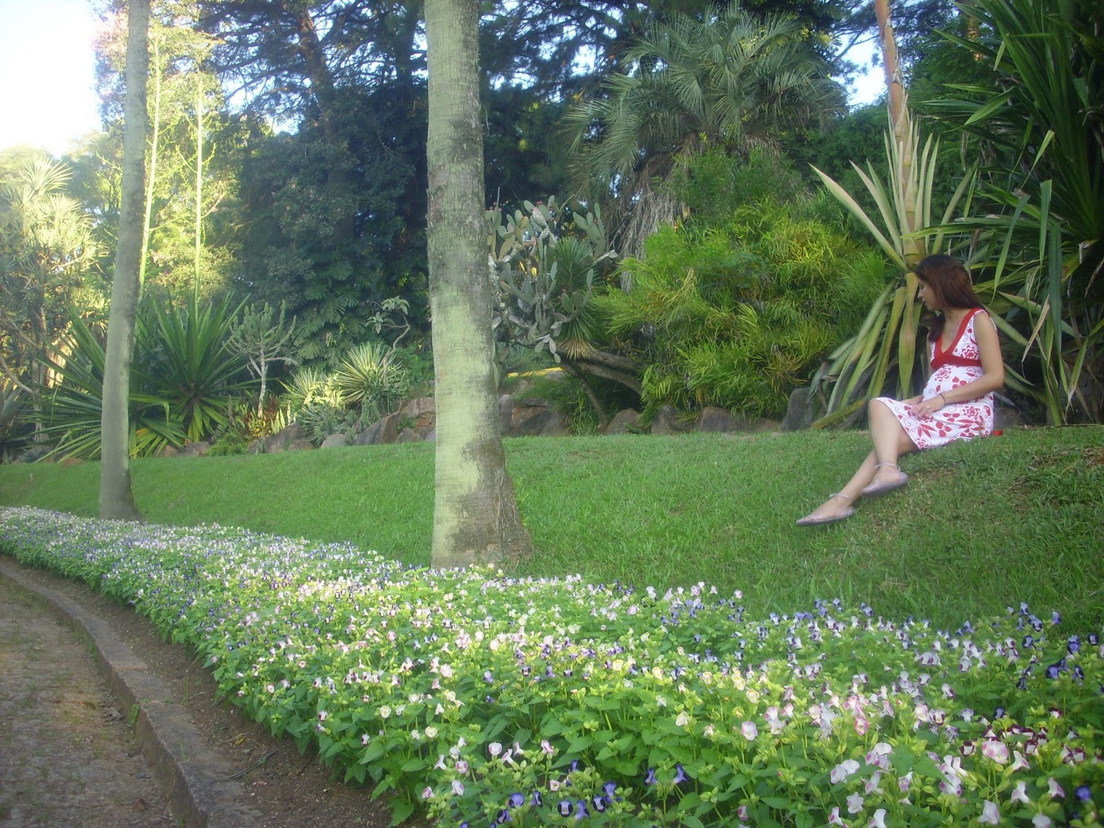 fotos jardim botanico porto alegre: em porto alegre na retrospectiva 2010 do blog vivendo porto alegre fotos jardim botanico porto alegre: em porto alegre na retrospectiva 2010 do blog vivendo porto alegre