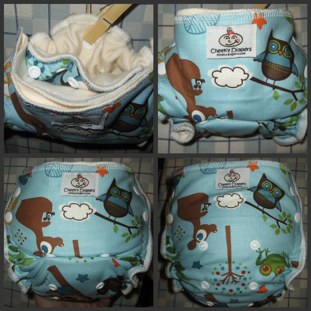 Cloth Diaper Addiction Cheeky Diapers Fitted Review and Giveaway