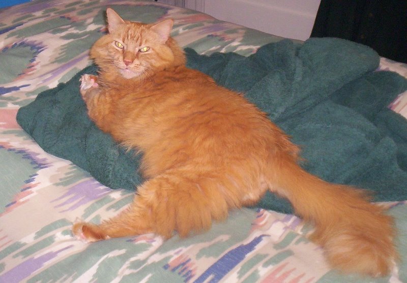 [brainball_circa_2004.jpg]