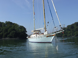 Anchored in the River Dart