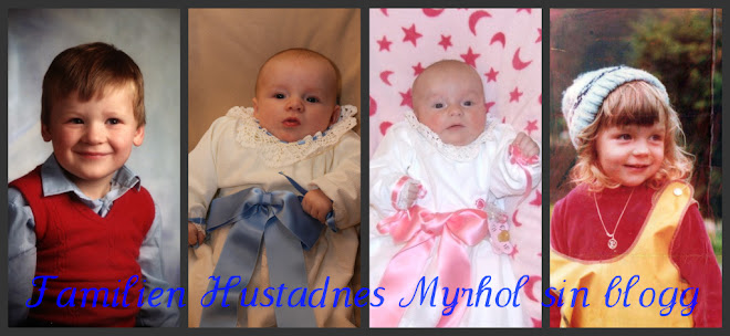 Familien Hustadnes Myrhol sin blogg