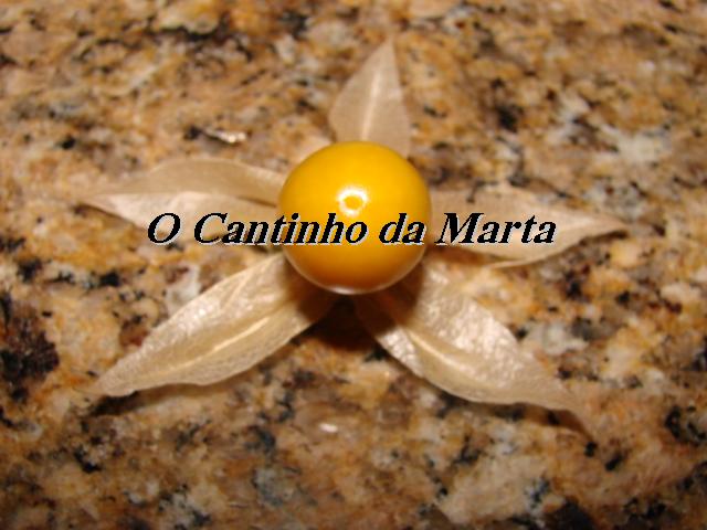 [DSC06704.JPG]