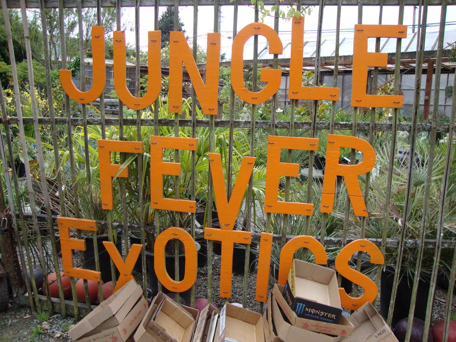 danger garden Jungle Fever Exotics