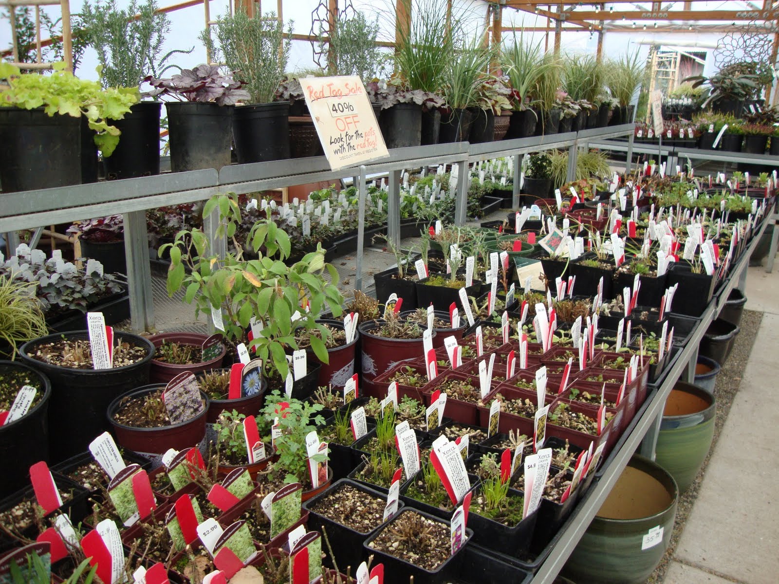 Growing With Plants
