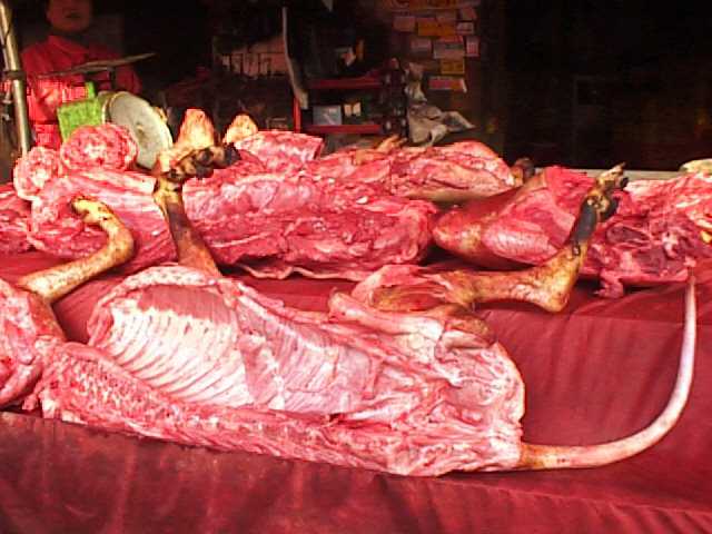Cat Meat