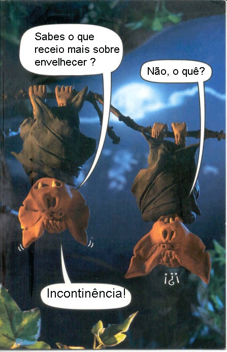[bats.jpg]