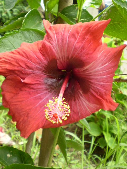 [PB160016.JPG]