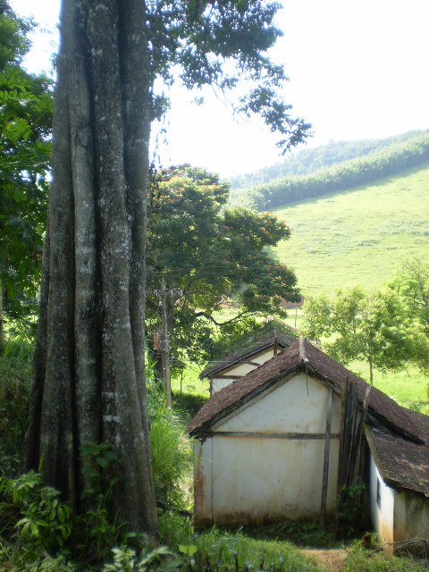 [P7200068.JPG]