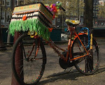 Fiesta Bike