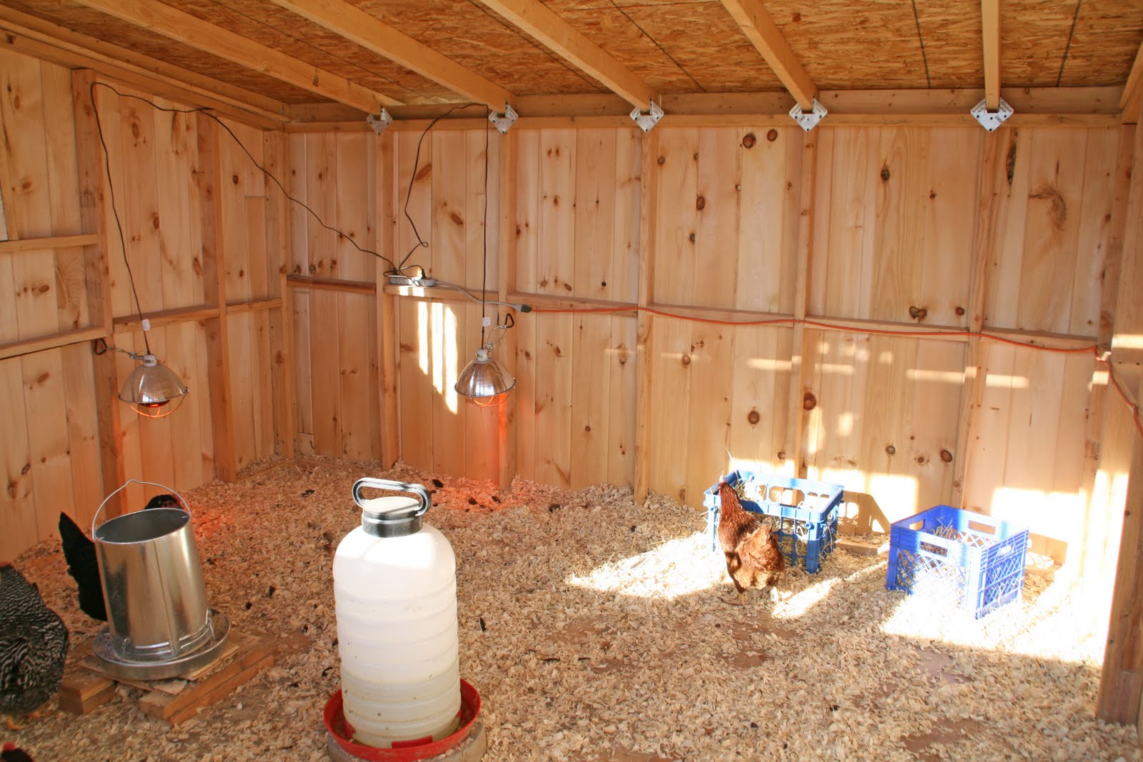Get how to build chicken coop and run