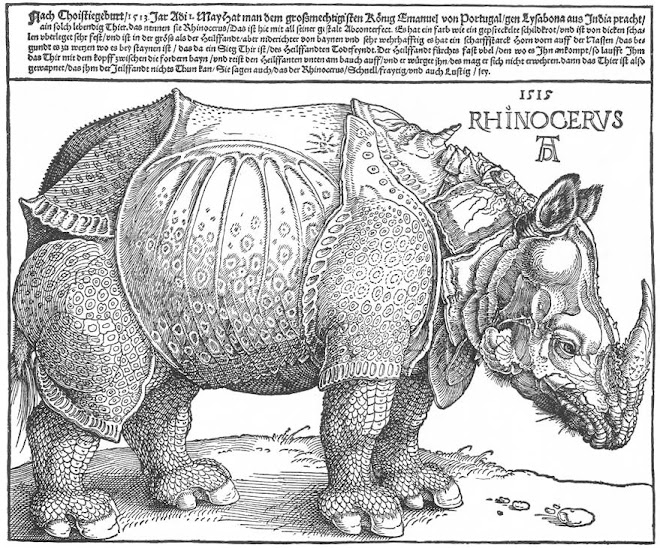 Rhinocervs (1515) ~ Albrecht Dürer