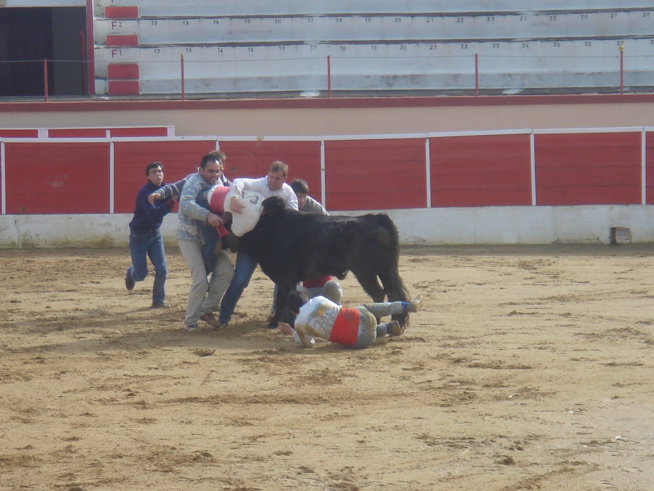 [DSC06441.JPG]
