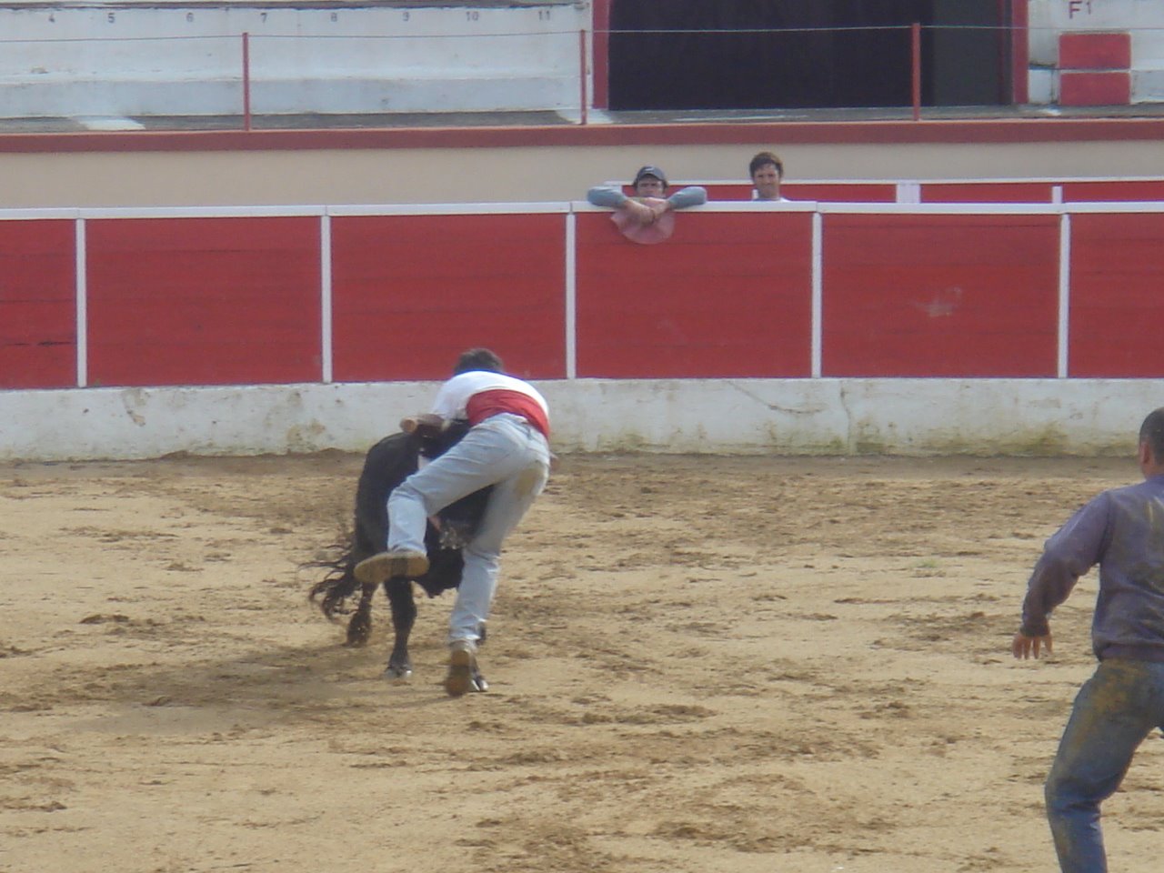 [DSC06421.JPG]