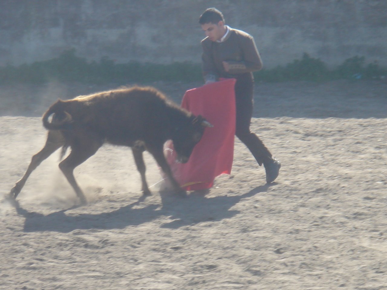 [DSC07464.JPG]