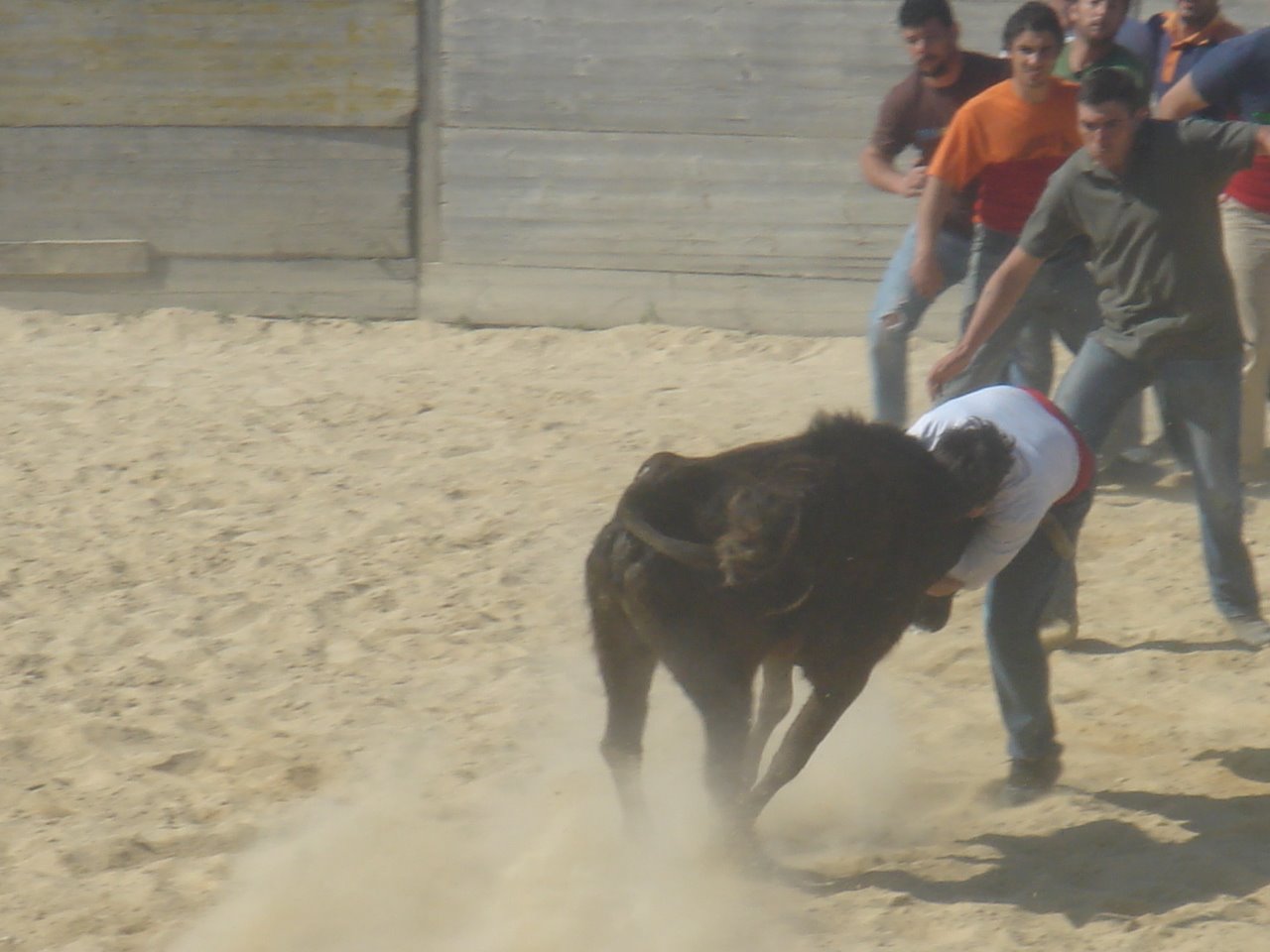 [DSC07711.JPG]