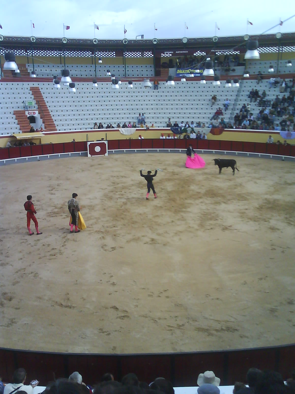 [DSC00522.JPG]
